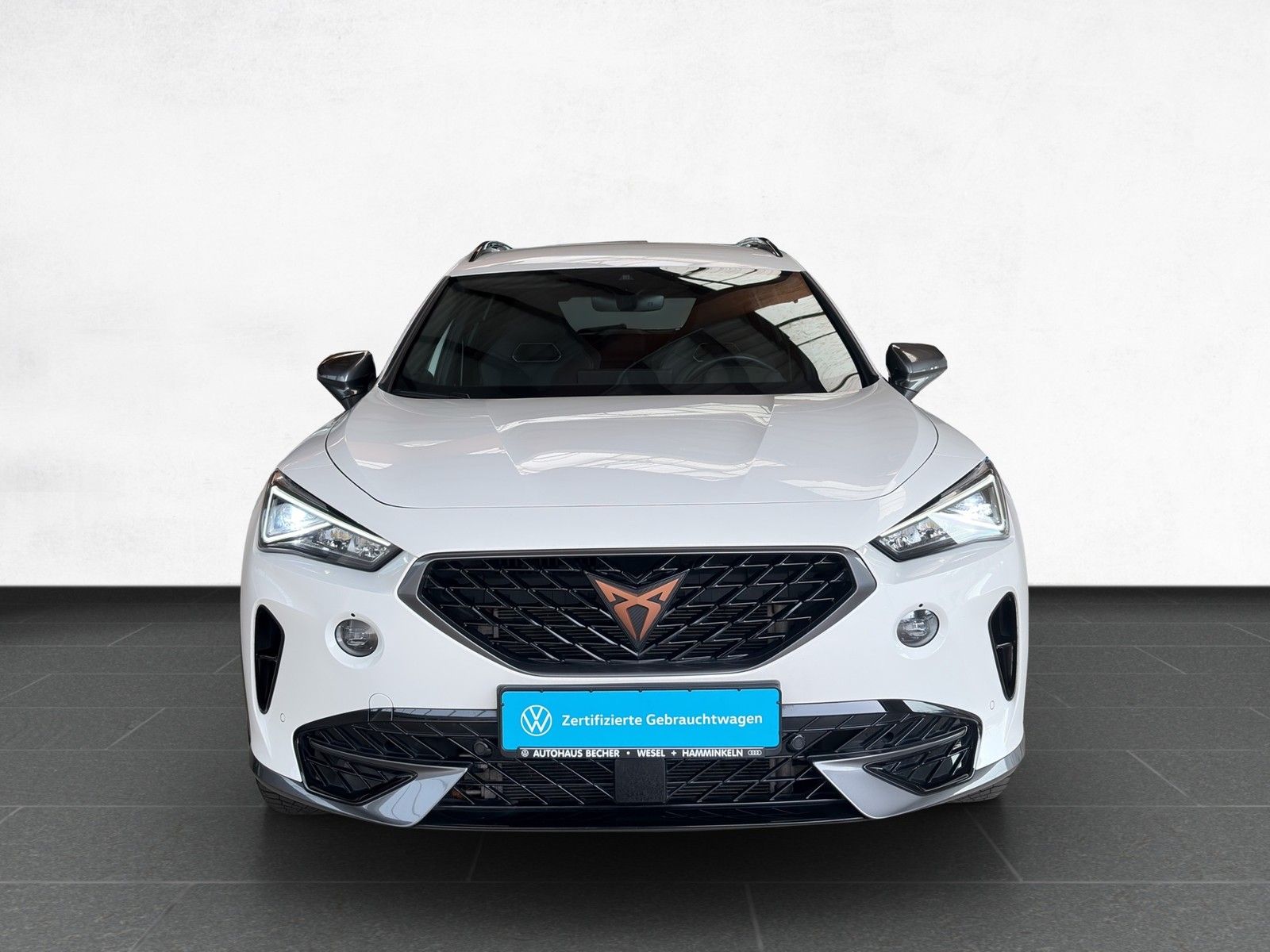 Cupra Formentor VZ 1.4 eHybrid DSG /AHK/LED/Rückfahrk imagem 3