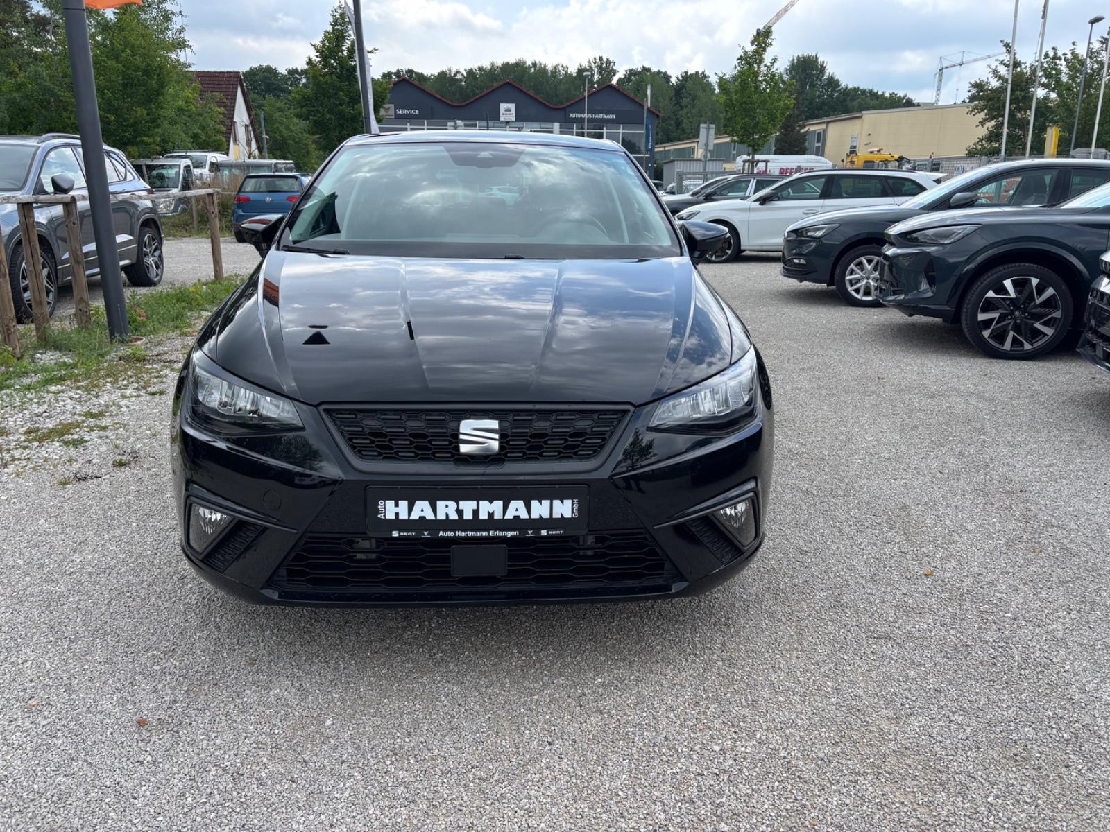 Seat Ibiza Style