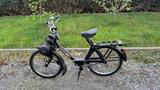 Andere Velusolex /Oldtimer / Mofa / Moped  - MOFA OLDTIMER