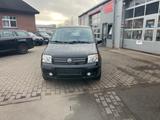 Fiat Panda 1.2 8V Dynamic - gebrauchte Fiat Panda aus dem Jahr 2008