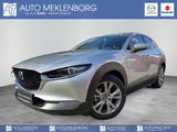 Mazda CX-30  "Selection" "DES-P" "I-ACT-P" "BOSE" M Hy - silberne Mazda CX-30