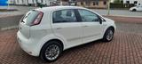 Fiat Punto Easy 1.2 8V  - Fiat Punto EASY mit Benzin-Antrieb