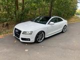 Audi A5 3.0 TDI Quattro  3xS-Line Scheckhe... - Audi A6: Sportwagen