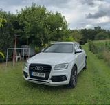Audi SQ5 3.0 V6 TDI quattro Competition *s-heft*