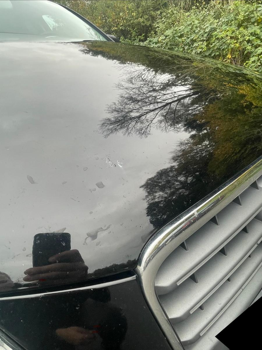 Audi A4 2009 — photo 6
