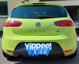 Seat seat Leon FR 1P, 211PS, sonderedition, 2.Hand - Seat Leon aus 2009: Fr