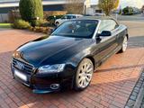 Audi A5 Cabrio - Audi A5