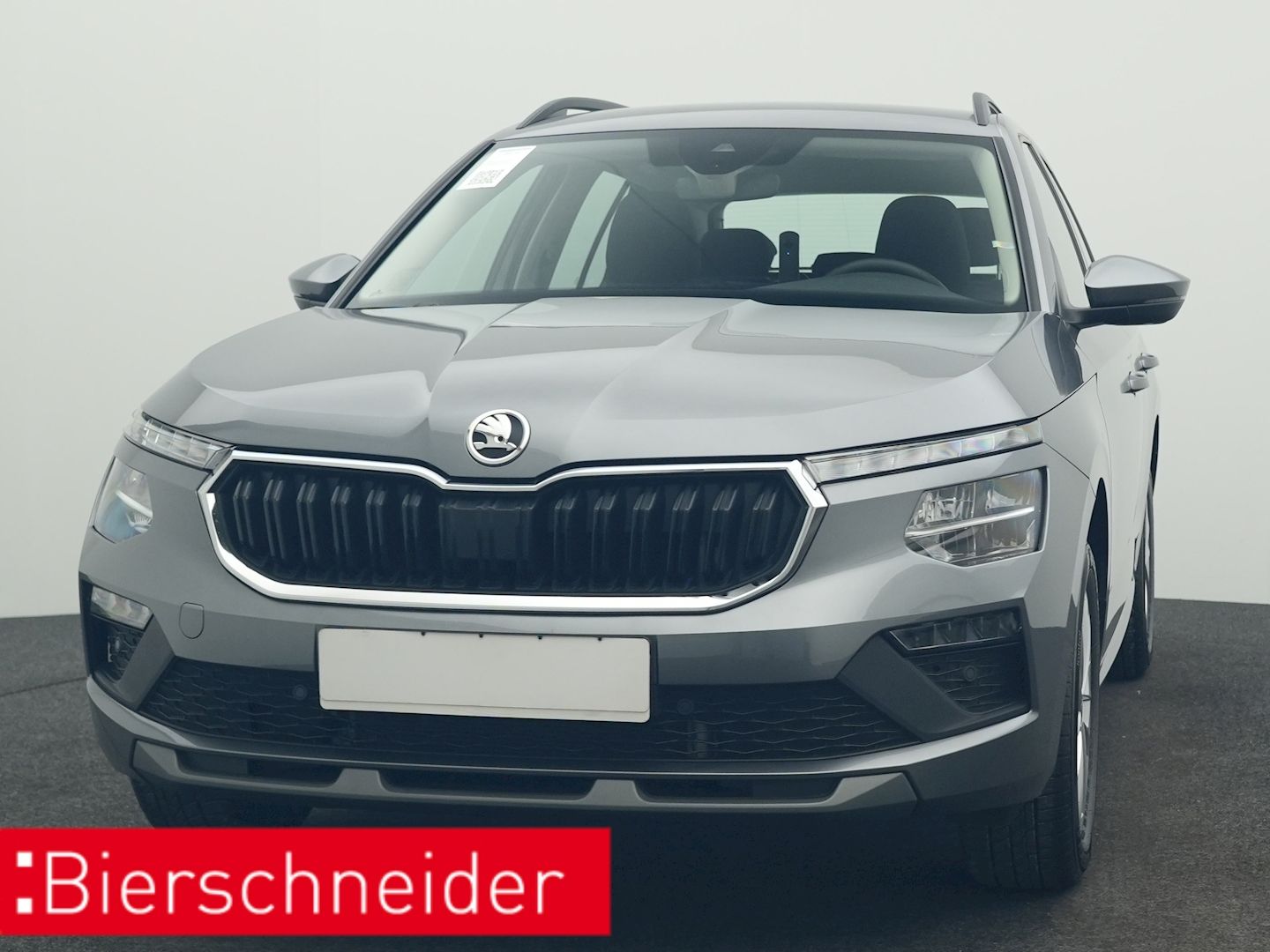 Skoda Kamiq - Bild 10