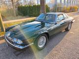 Jaguar XJS 3.6 Coupe 6 Zylinder - Jaguar XJS: 3.6