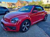 Volkswagen Beetle 1.4 TSI BMT SOUND Cabriolet SOUND - Volkswagen Beetle mit Benzin-Antrieb: Cabrio, 1.4