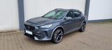 Cupra Formentor 2.0 TDI 4Drive DSG  *AHK, Kamera, Navi - Cupra Formentor von privat