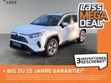 Toyota RAV4 2.5 Business Edition +Allwetter+EPH+LED+Nav - Toyota RAV 4 Jahreswagen