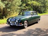 Jaguar S 3.8 aus 1965 - Jaguar S-Type: 3.8