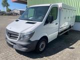 Mercedes-Benz Sprinter 313 CDI/FreezeVan*5+5*ICE*-40Grad* - Offers