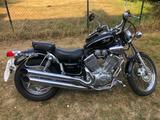 Yamaha XV535 Virago - YAMAHA 1995 VIRAGO 535