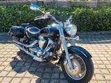 Yamaha XV 1600 A Wild Star Wildstar - Angebote