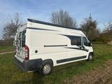 Knaus Boxstar Steet 600 - Fiat Ducato - Knaus Kastenwagen