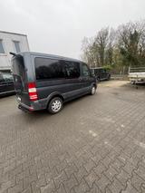 Mercedes-Benz Sprinter - Mercedes-Benz Sprinter Gebrauchtwagen in Essen