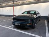 Ford Mustang Bullitt - Ford Mustang: For