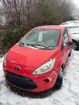 Ford Ka/Ka+ 1,2 Trend - Ford Ka/Ka+ in Kiel