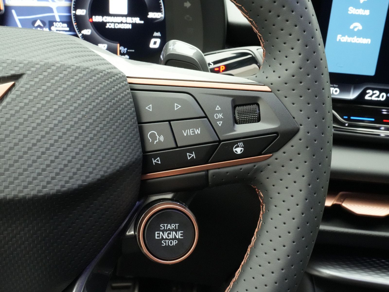 Cupra Terramar - Bild 12