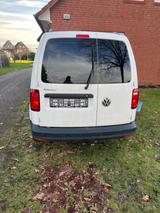 Volkswagen Caddy Kasten  - Volkswagen Caddy Maxi in Hamburg