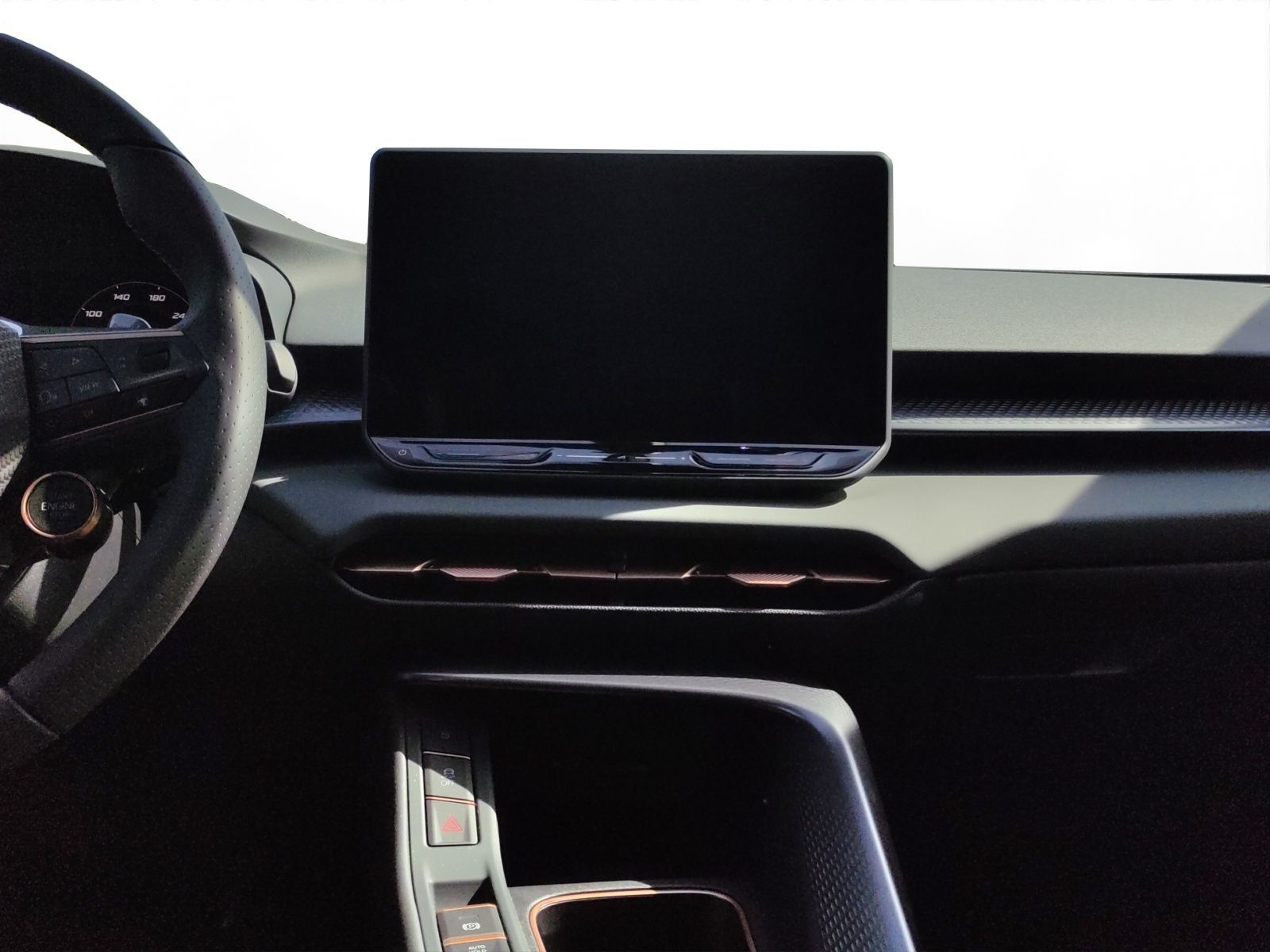 Cupra Terramar - Bild 13