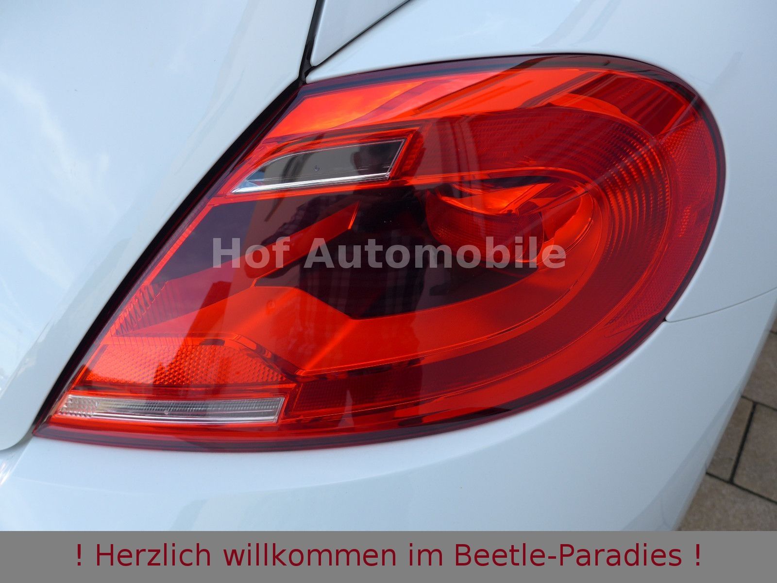 Volkswagen Beetle 1.2TSI DSG Cup SHZ Klimaaut. Allwetter foto 12