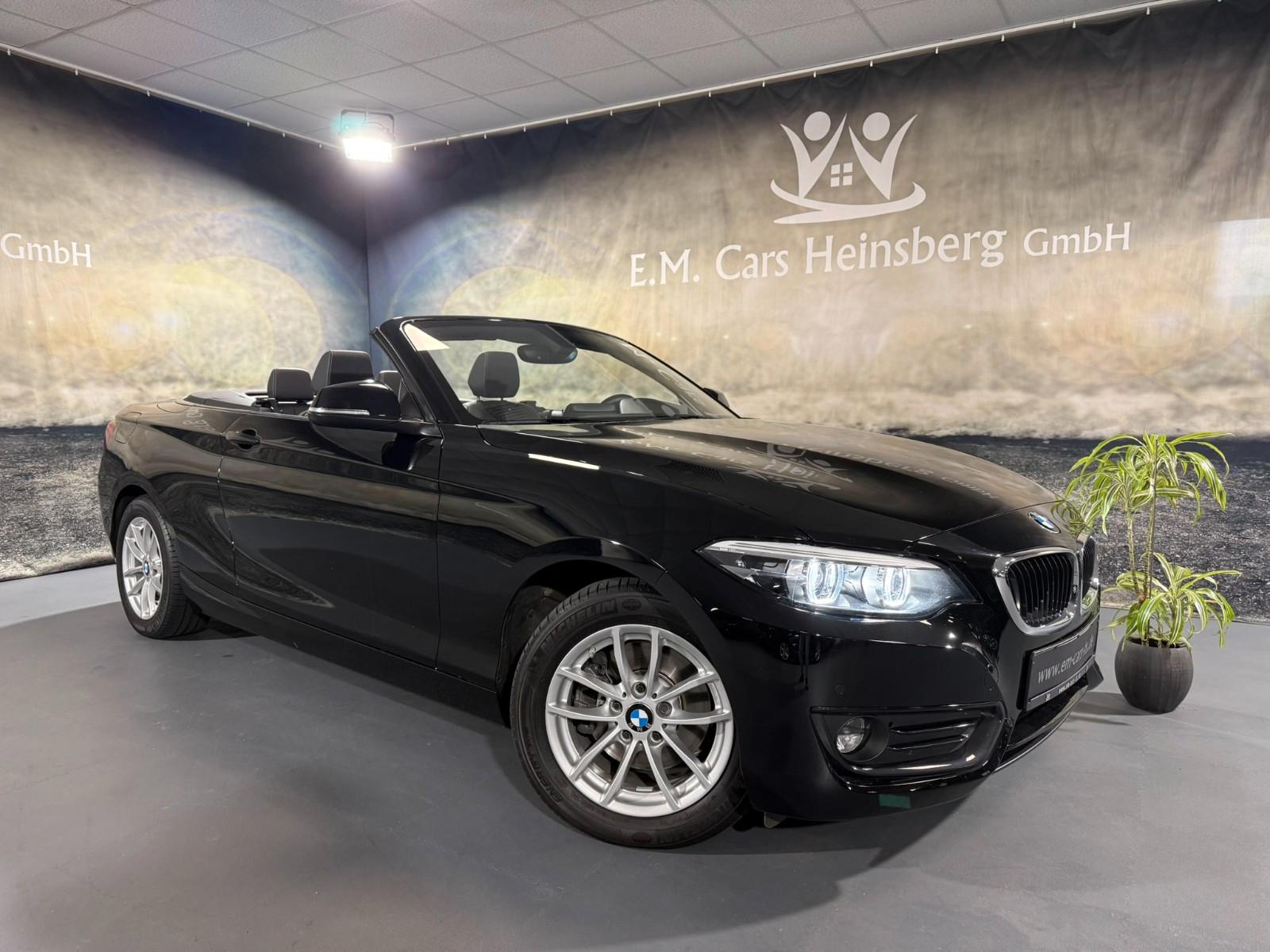 BMW 220i Cabrio Advantage Leder Navi PDC LED HarmanK