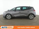 Renault Scenic 1.3 TCe Limited*NAVI*CAM*TEMPO*SHZ* - Renault Scenic in Dresden