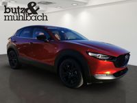 Mazda CX-30 - Vorschau Bild 2