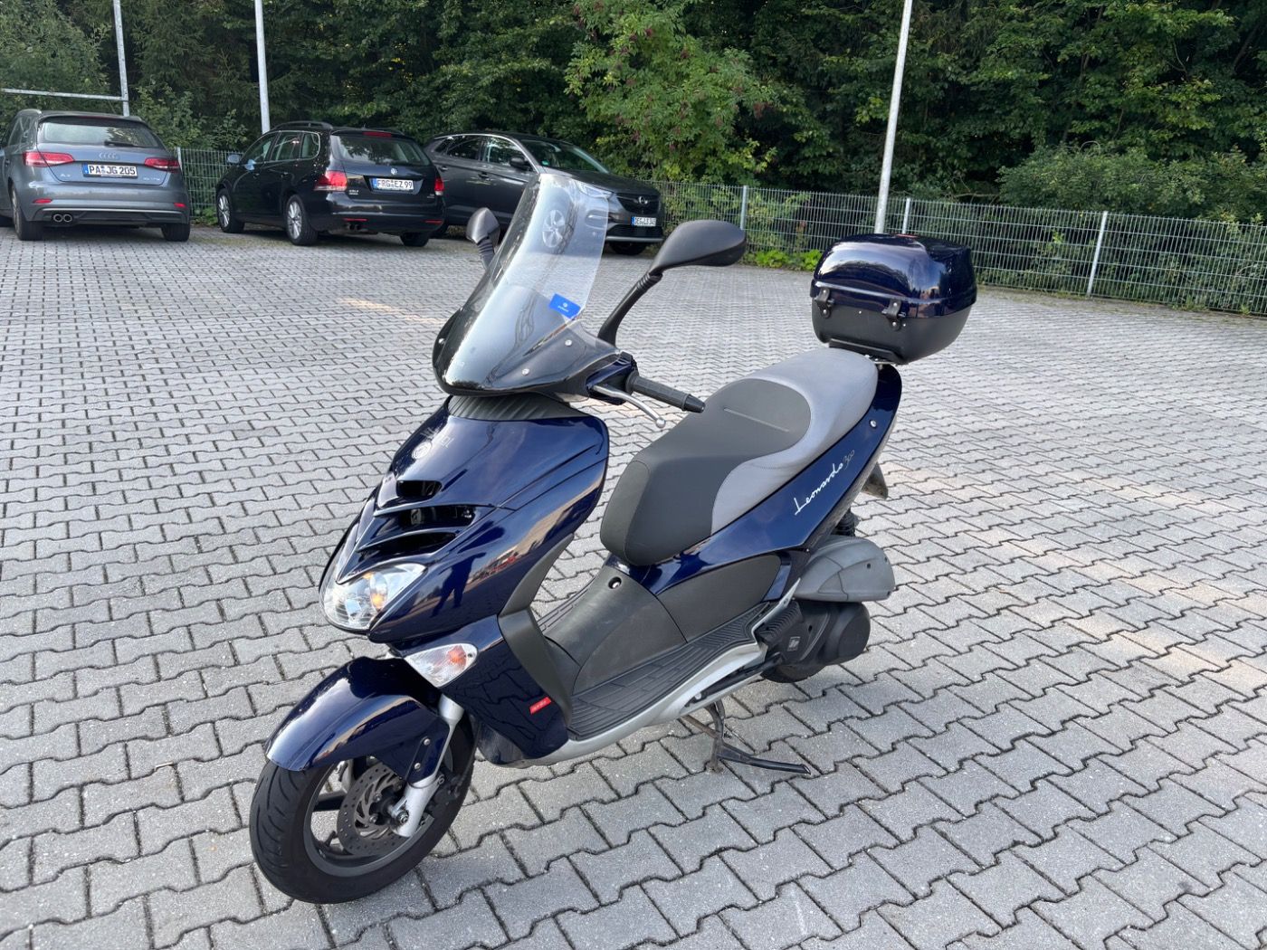 Fahrzeugabbildung Aprilia Leonardo 300