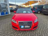Audi A3 Cabriolet Attraction 1.6 - Audi A3 aus 2009: Cabrio
