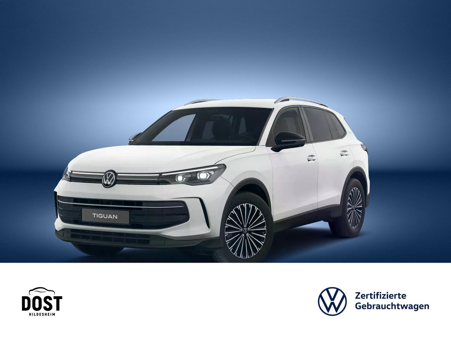 Volkswagen Tiguan Life Goal 2.0 TDI DSG MATRIX-LED AreaView foto 2