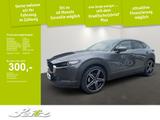 Mazda CX-30 Selection AWD Navi*Rückfahrkamera*Einparkh - Mazda aus 2020