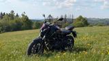 Yamaha MT 07 Pure - YAMAHA MT 07 PURE
