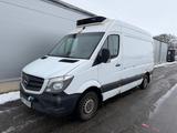 Mercedes-Benz 316 NGT (156hk ) L2H2 Refrigerator/ Freezer - Mercedes-Benz Sprinter: Ngt