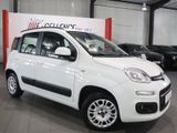 Fiat Panda LOUNGE WHITE / AUTOMATIKGETRIEBE / KLIMA - Fiat Panda: Kleinwagen