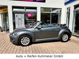 Volkswagen Beetle Cabriolet Design BMT/Start-Stopp - Volkswagen Beetle mit Diesel-Antrieb: Cabrio