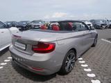 BMW 220i Cabrio Sport Line HiFi Xenon RFK Tempomat - BMW: R