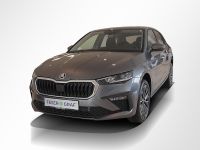 Skoda Scala - Vorschau Bild 10