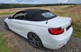 BMW 220d Cabrio - M Lenkrad, M Felgen, ect. - BMW 2er-Reihe F22 mit Diesel-Antrieb