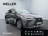 Lexus NX 450h+ E-FOUR Business *Bi-LED*360*Leder*4xSHZ - Lexus Gebrauchtwagen in Hamm