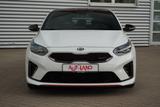 Kia ProCeed 1.6 T-GDI GT LED Navi ACC 4x Sitzheizung - Kia Gebrauchtwagen in Magdeburg
