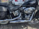 Harley-Davidson Heritage Softail Classic FLSTC - Angebote
