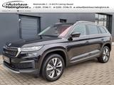 Skoda Kodiaq 2.0 TSI DSG 4x4 Style Navi 7-Sitzer Matri - Skoda Kodiaq in Herne