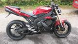 Yamaha RN12 - YAMAHA 2004 R1