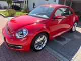 Volkswagen Beetle 1.2 TSI - - gebrauchte VW Beetle aus dem Jahr 2011