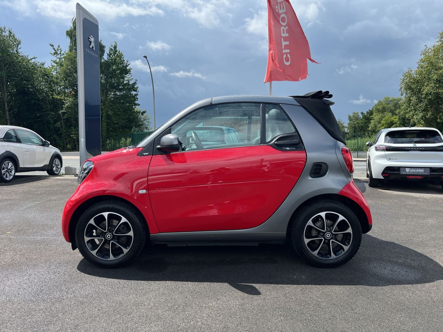 Fahrzeugabbildung Smart fortwo Turbo CABRIO Leder Klimaautom SHZ Temp