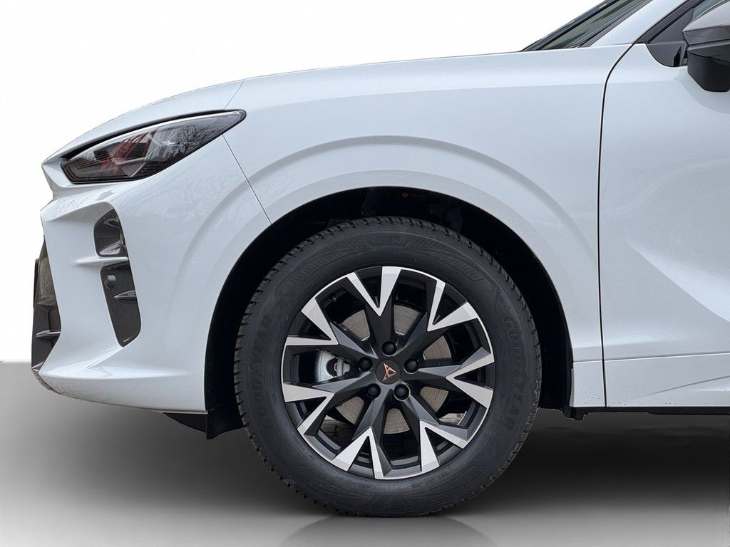 Cupra Terramar - Bild 18